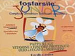 fosfarsile
