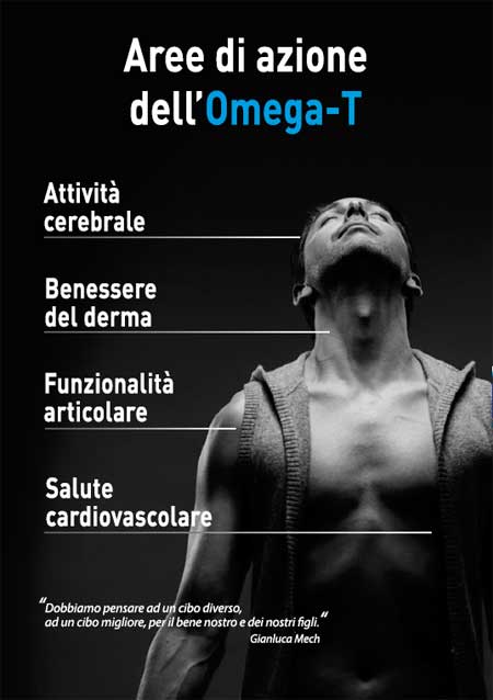 Aree di azione dell